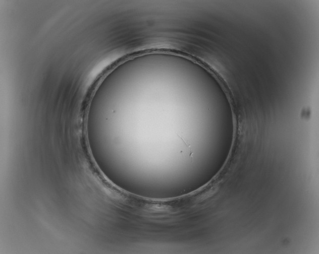X0000113041119200908271459