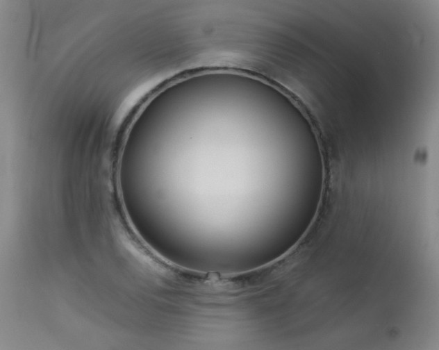 X0000113041120200908271459