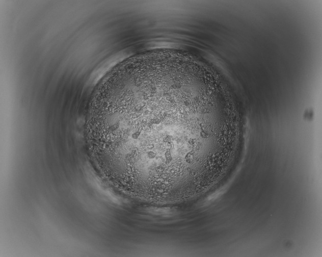 X0000113041121200908271459