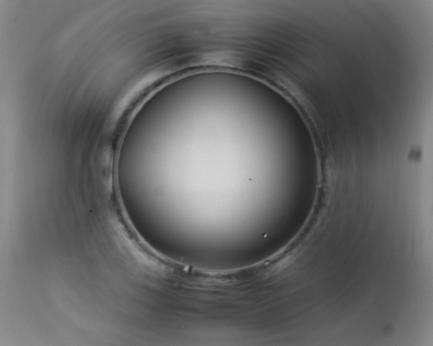 X0000113041123200908271459