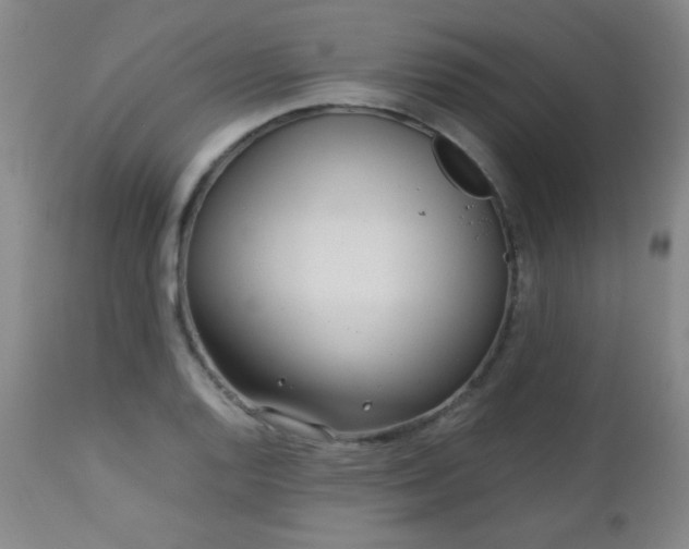 X0000113041128200908271459