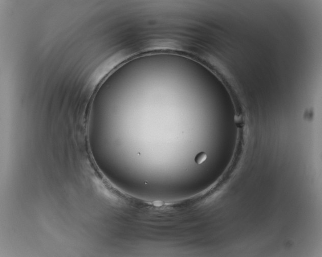 X0000113041129200908271459