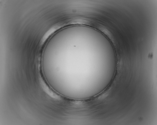 X0000113041130200908271459