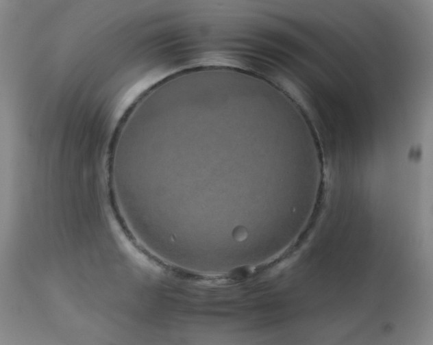 X0000113041133200908271459