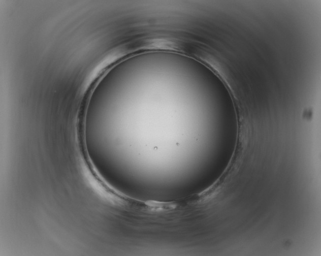 X0000113041139200908271459