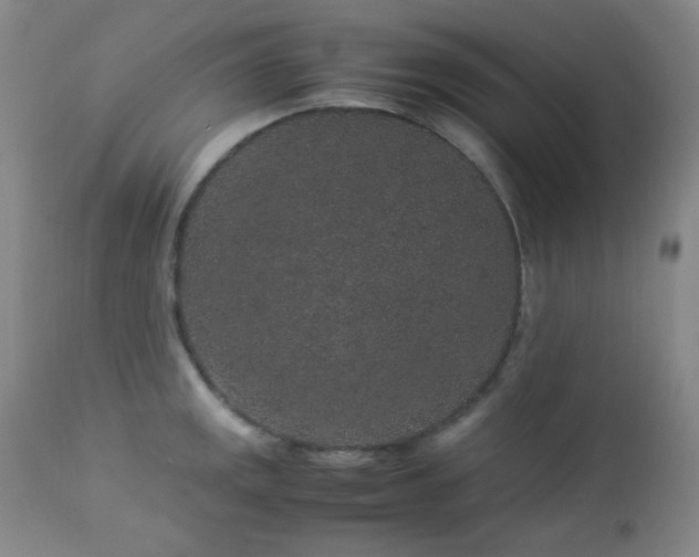 X0000113041141200908271459