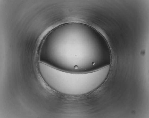 X0000113041144200908271459