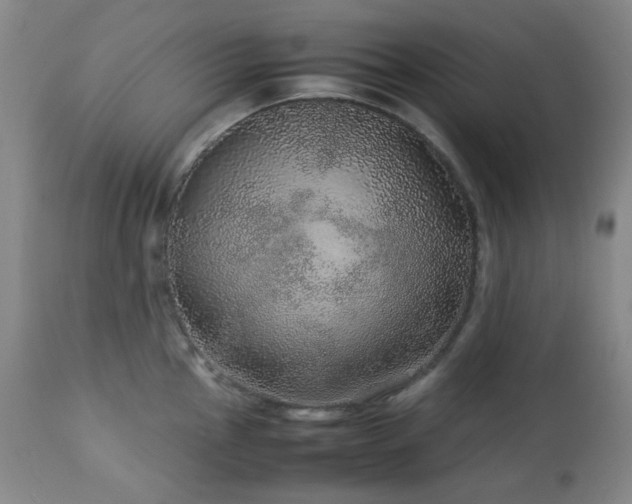 X0000113041145200908271459
