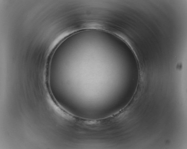 X0000113041147200908271459
