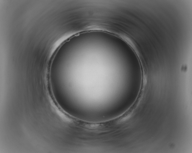 X0000113041149200908271459