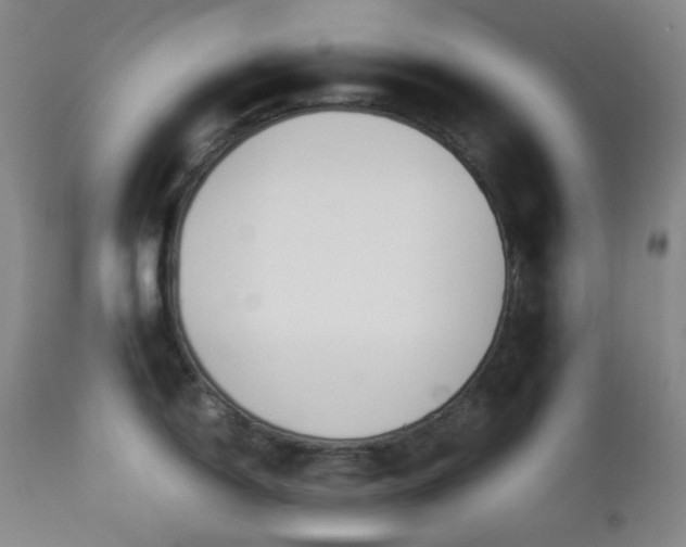 X0000113041150200908271459