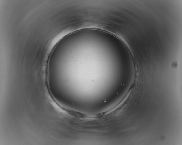 X0000113041151200908271459