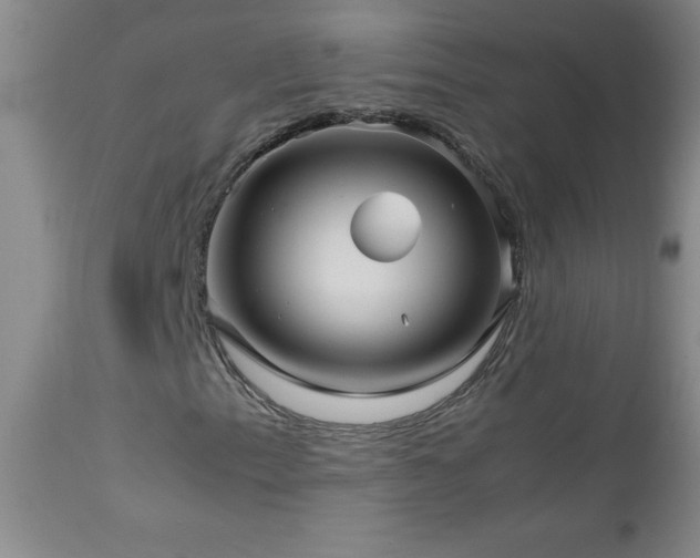 X0000113041153200908271458