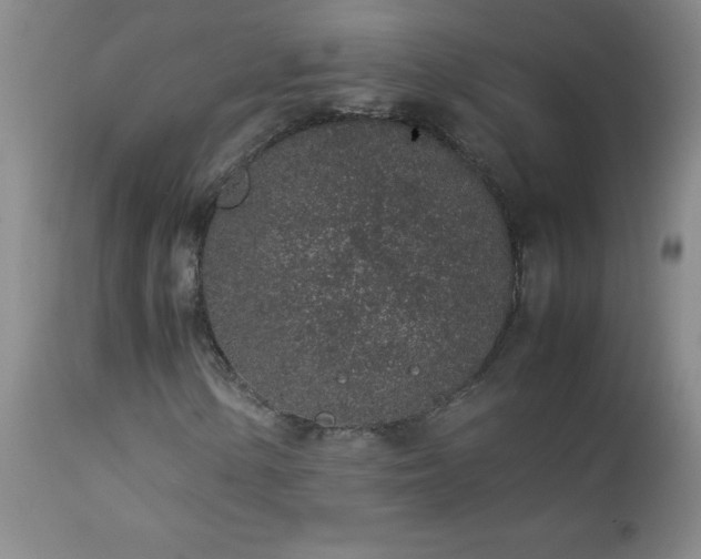 X0000113041154200908271458