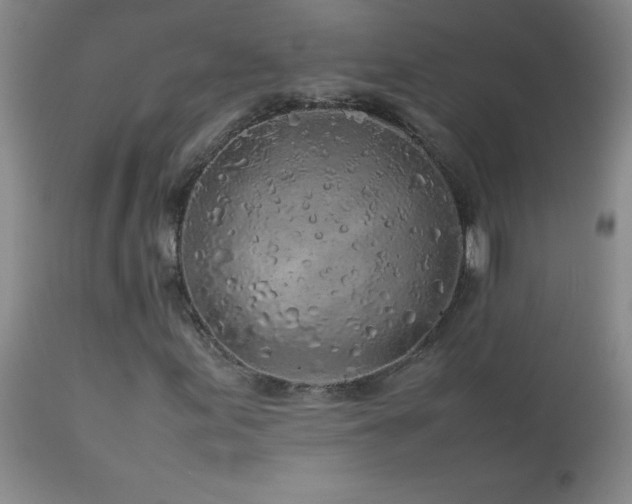 X0000113041155200908271458