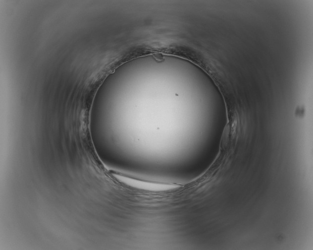 X0000113041156200908271458
