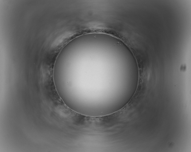 X0000113041157200908271458