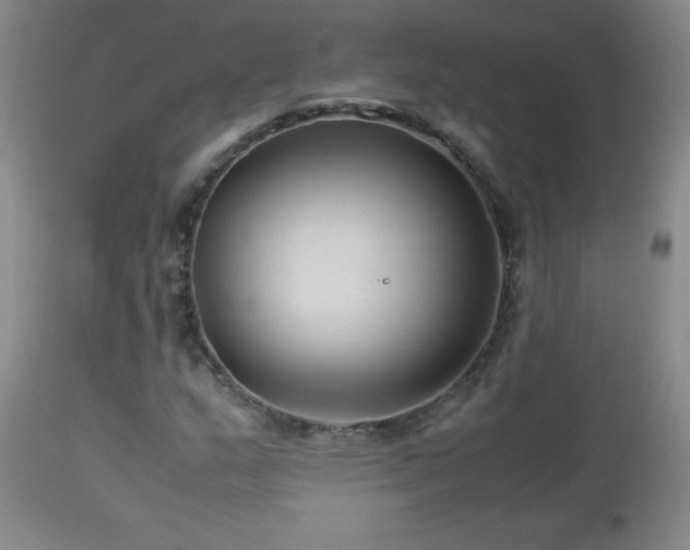 X0000113041159200908271458