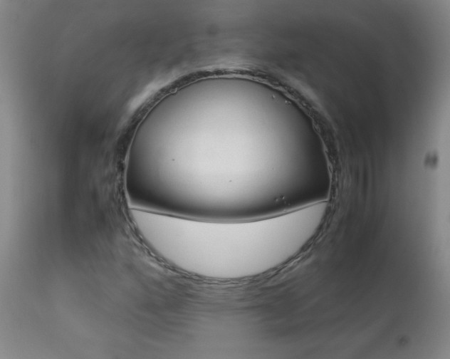 X0000113041160200908271458