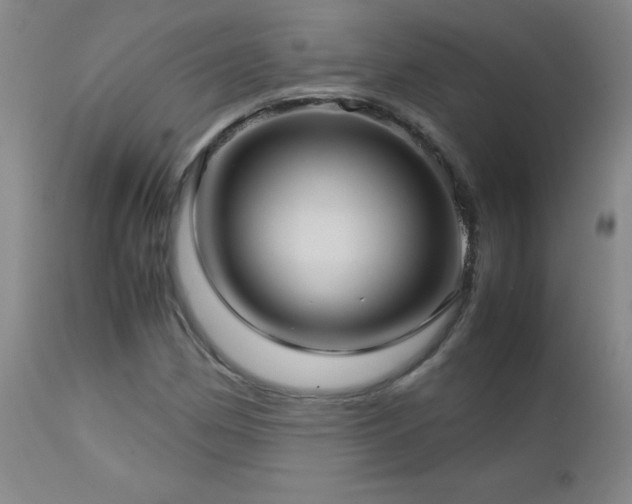 X0000113041162200908271458