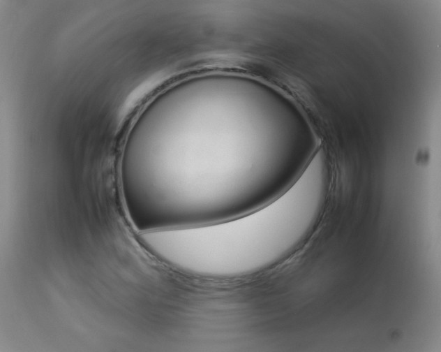 X0000113041164200908271458