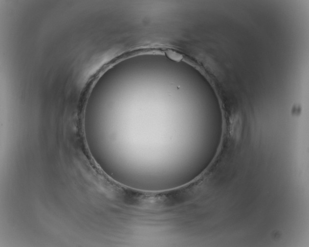 X0000113041165200908271458