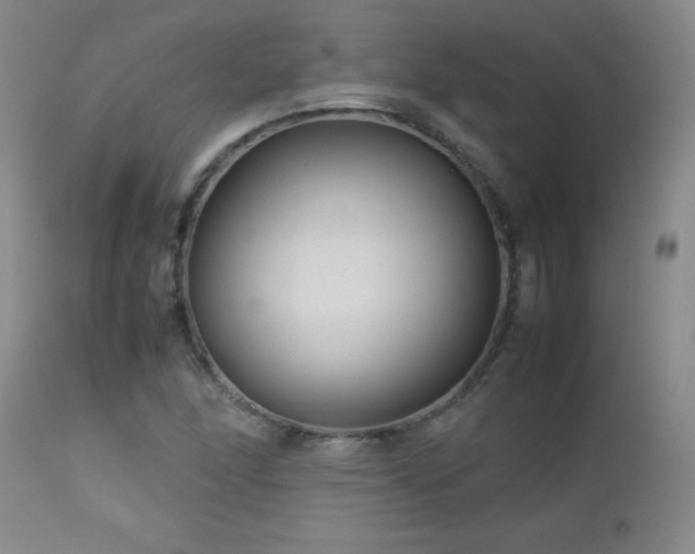 X0000113041166200908271458