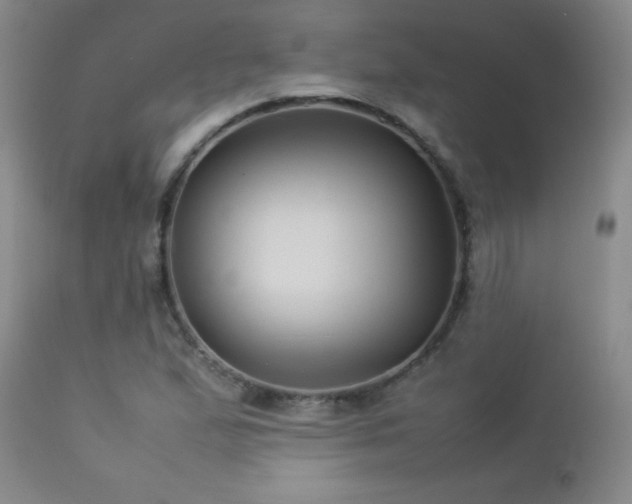 X0000113041167200908271458