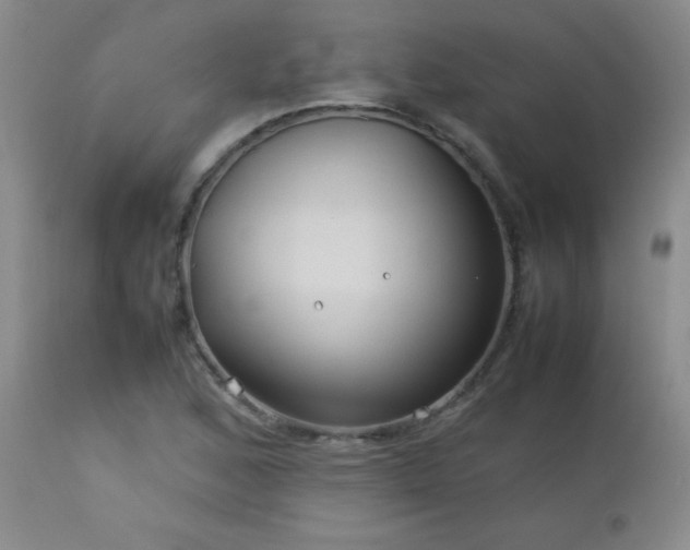 X0000113041168200908271458