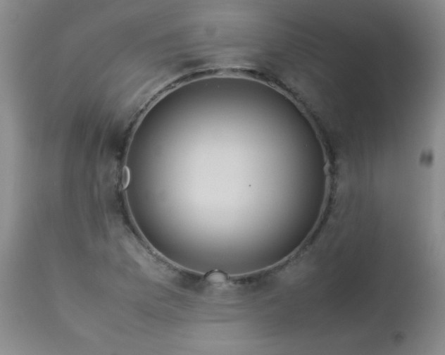 X0000113041169200908271458