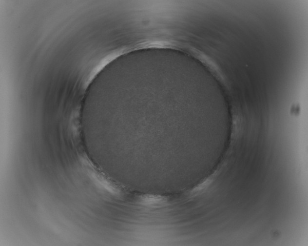 X0000113041170200908271458
