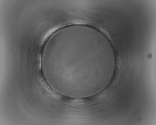 X0000113041171200908271458