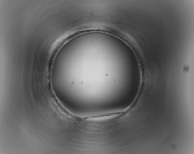 X0000113041172200908271458