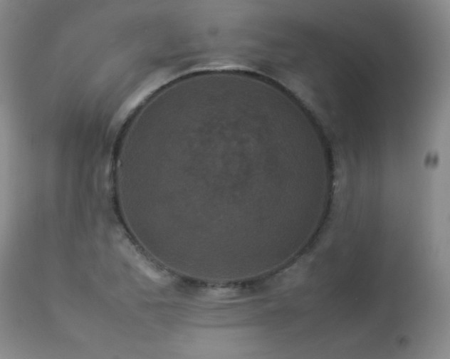 X0000113041173200908271458