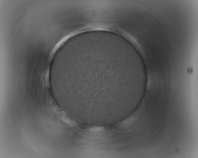 X0000113041174200908271458