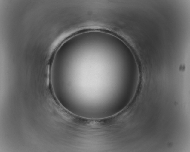 X0000113041175200908271458