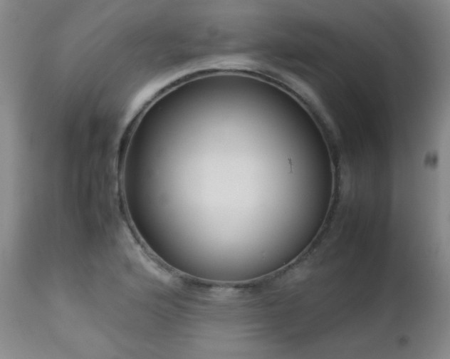 X0000113041176200908271458