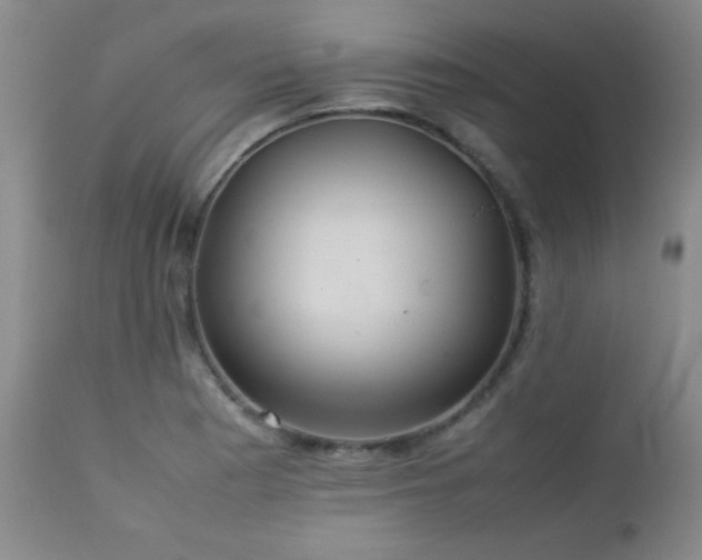 X0000113041177200908271458