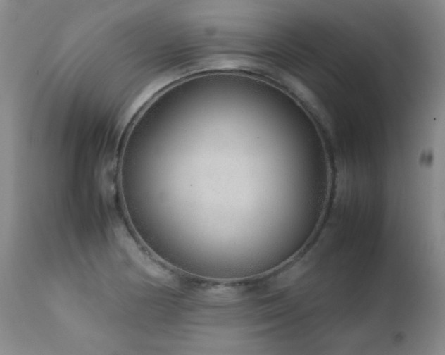 X0000113041178200908271458