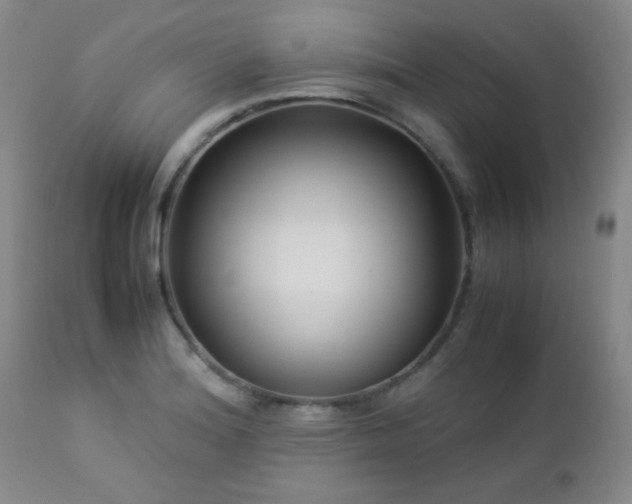 X0000113041180200908271458