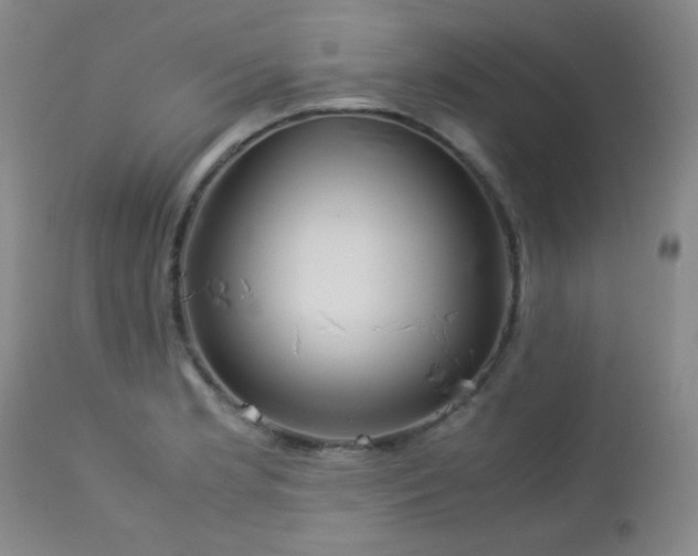 X0000113041181200908271458