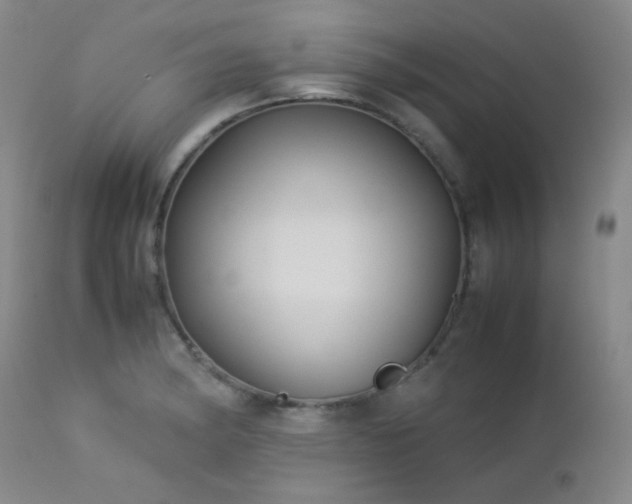 X0000113041182200908271458