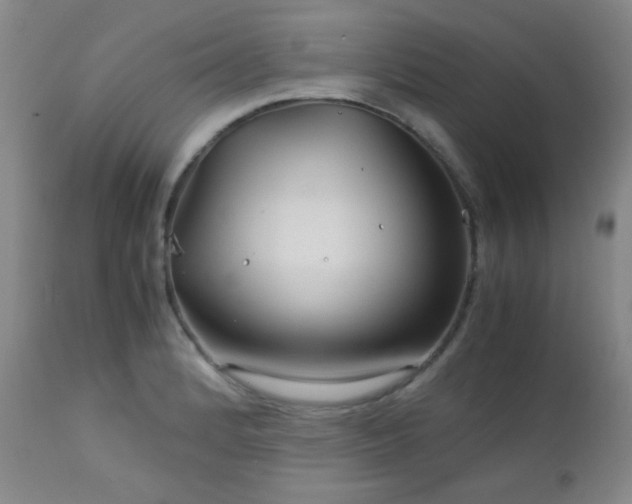 X0000113041184200908271458