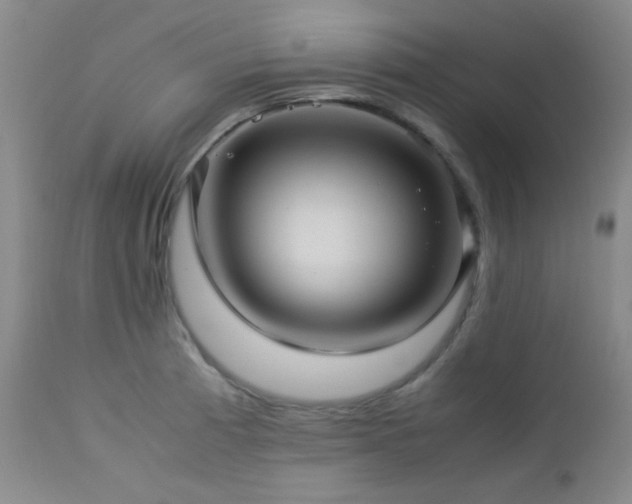 X0000113041185200908271458