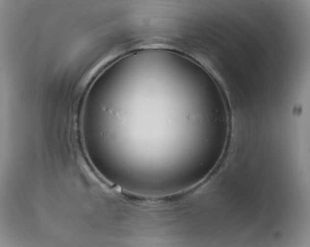 X0000113041189200908271458