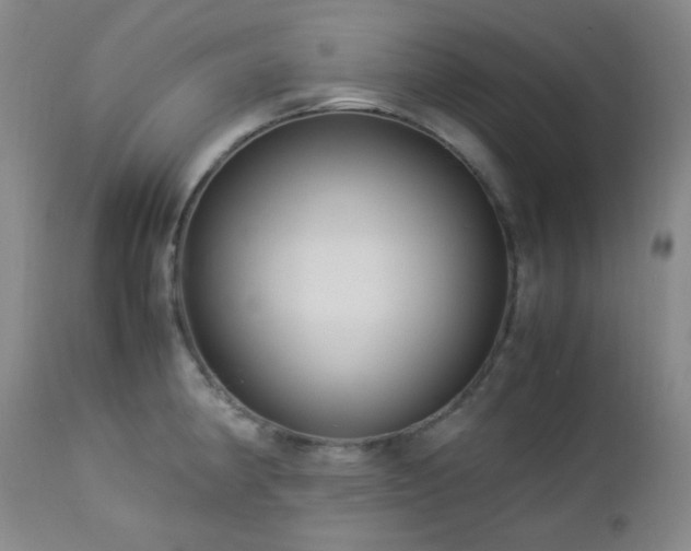X0000113041190200908271458