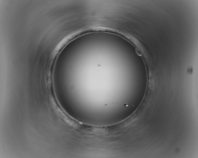 X0000113041191200908271458