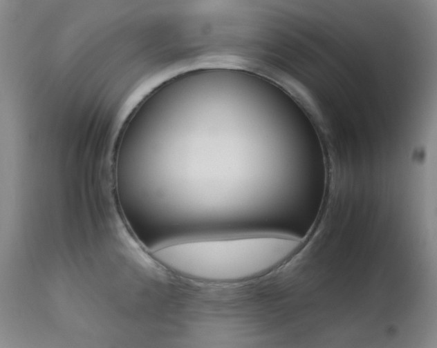 X0000113041192200908271458