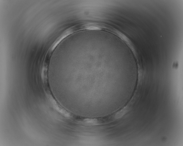X0000113041194200908271458