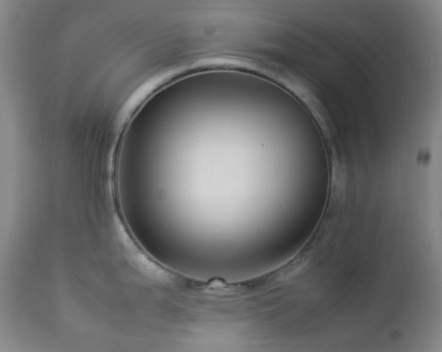 X0000113041199200908271458